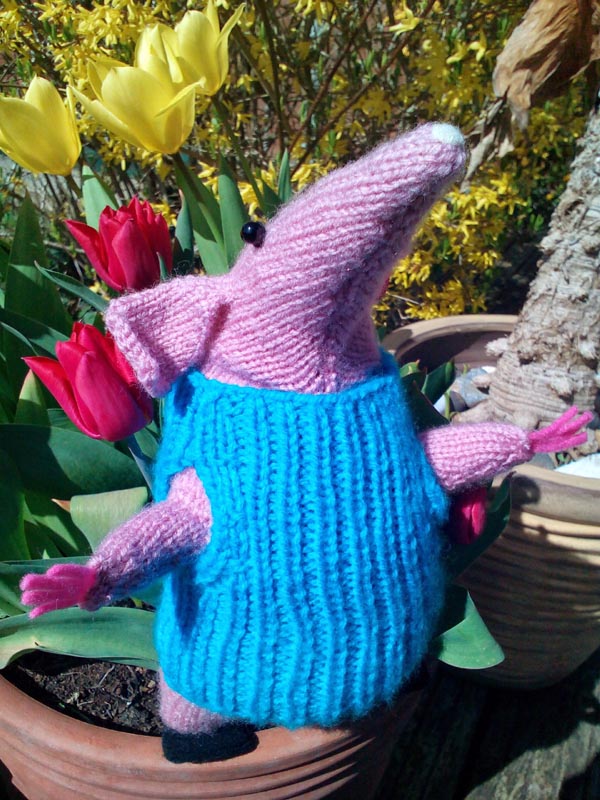 Jane's Clanger